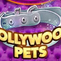 Hollywood Pets